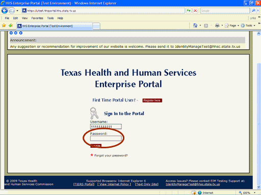 Screenshot of Portal Logon page